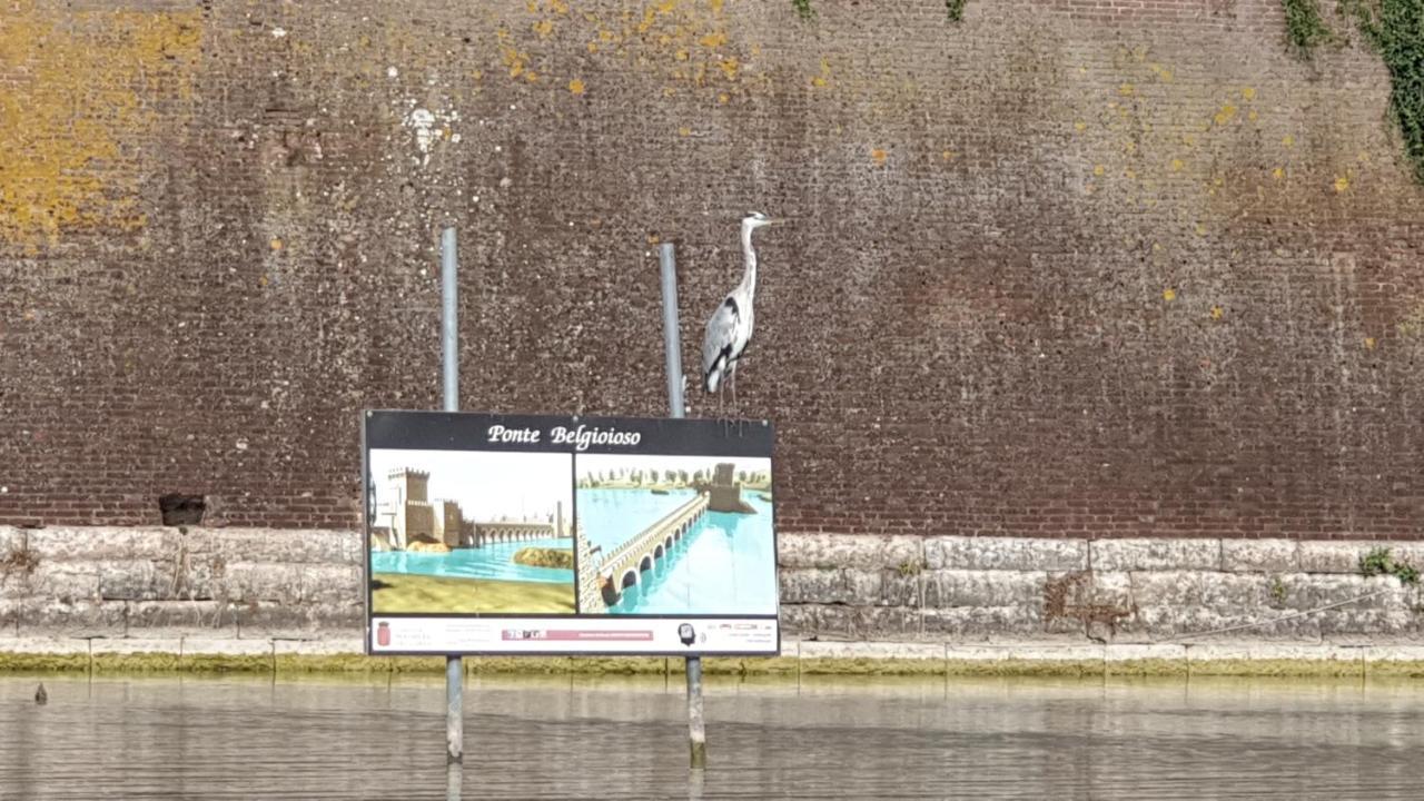 Casa Vacanza&Suite Joy Peschiera del Garda Esterno foto